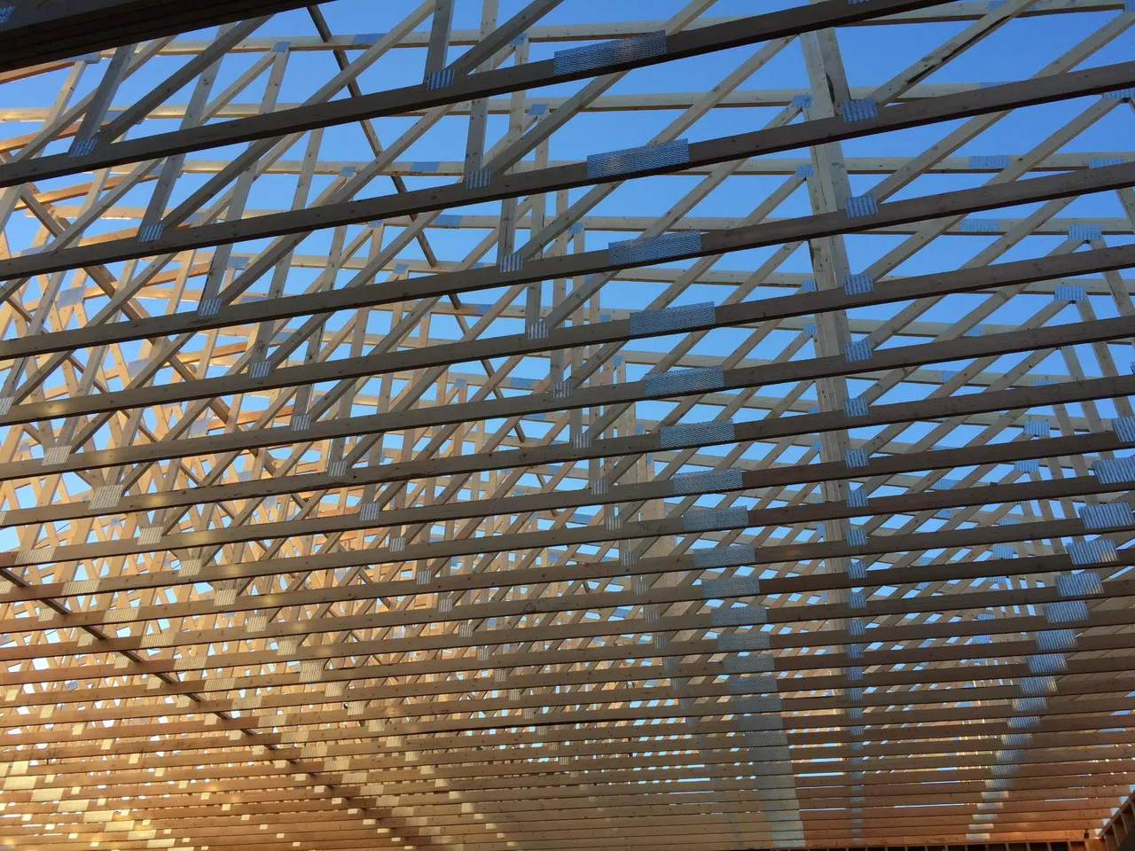 Looking up through the timber roof trusses of a building under construction against a blue sky